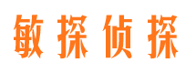 海丰私家调查公司